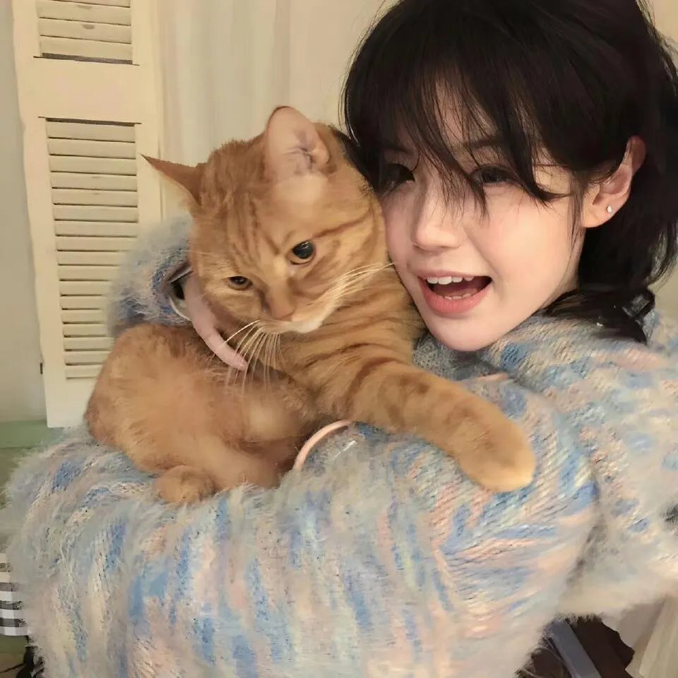 来不及说我爱你